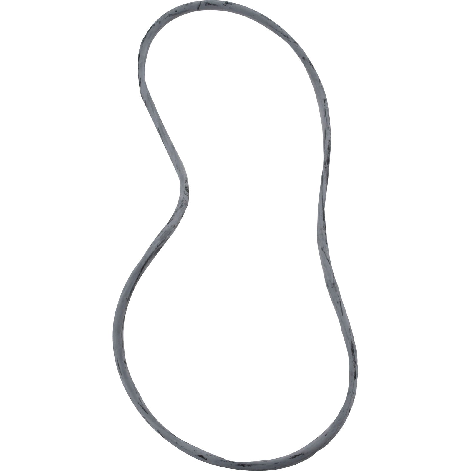 Pentair 25230-0010S O-Ring For Tank Posi-Clear