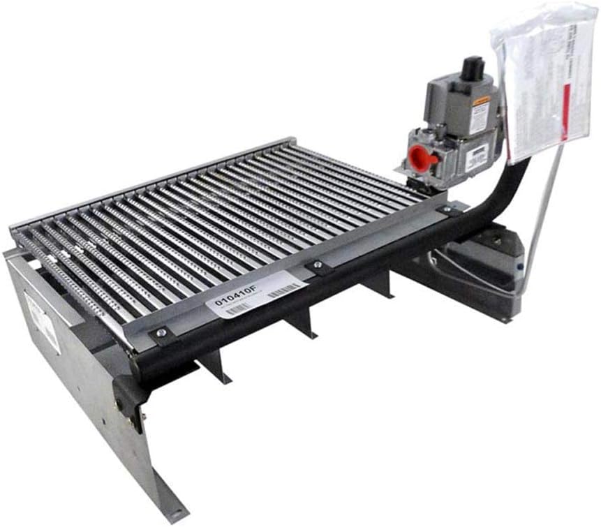 Raypak 406A Burner Tray with Natural Gas Valve, IID | 010410F
