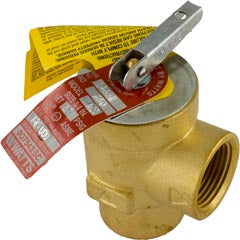 Relief Valve, Pentair Minimax Plus/PowerMax, 3/4" 072138
