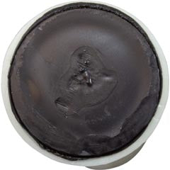 Pentair 152290 6-11/16" Almond Lateral Assembly | 152290Z