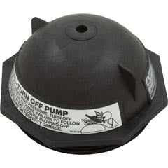 Pentair 154570Z Closure 6" Buttress Thread Black Triton II