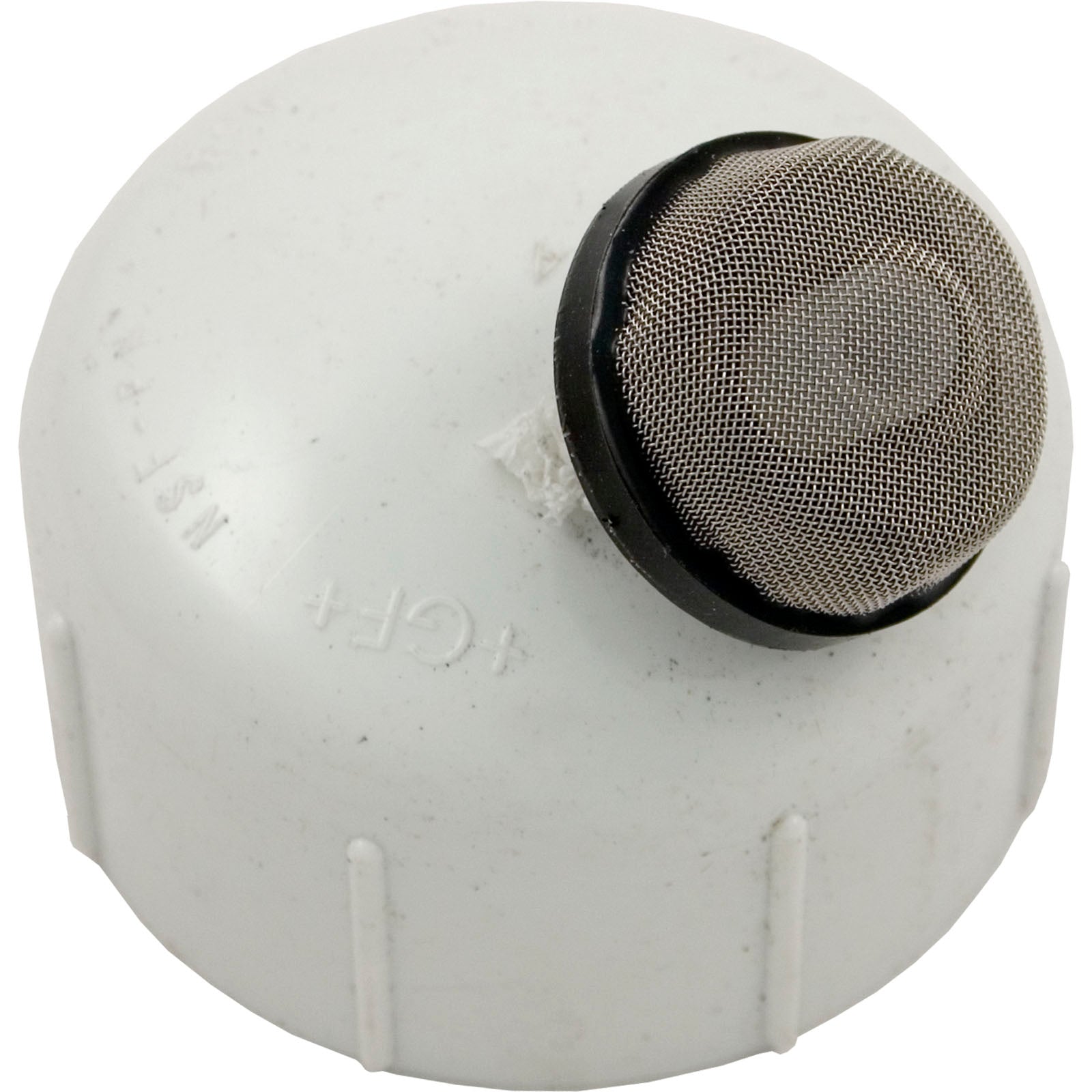 Strainer Assembly, Pentair 274411