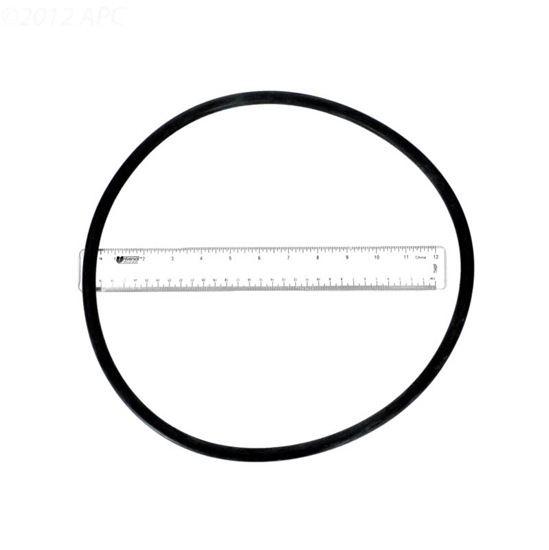 O-Ring, PentairPacFab Mytilus/Star, 12" Tank Body, O-99P/ 174704