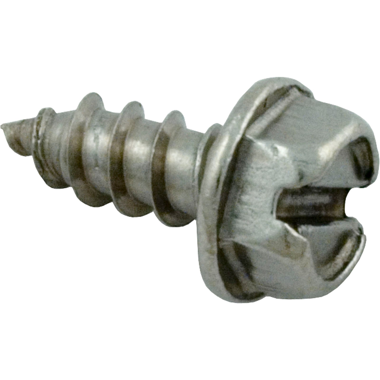 Screw, Pentair PacFab 2" PVC Slide Valve, 18-8/ 273071