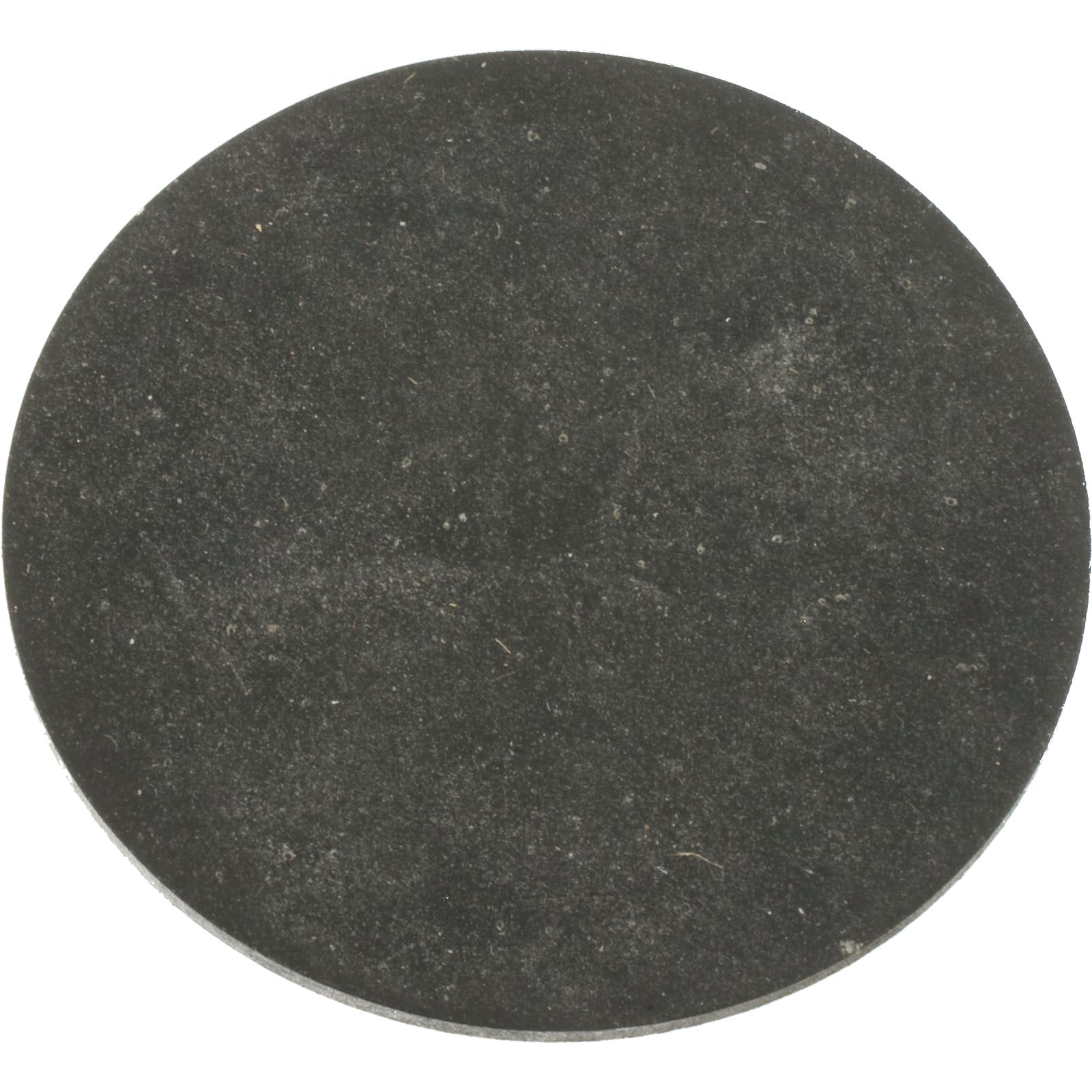 Drain Gasket Pentair, 154715