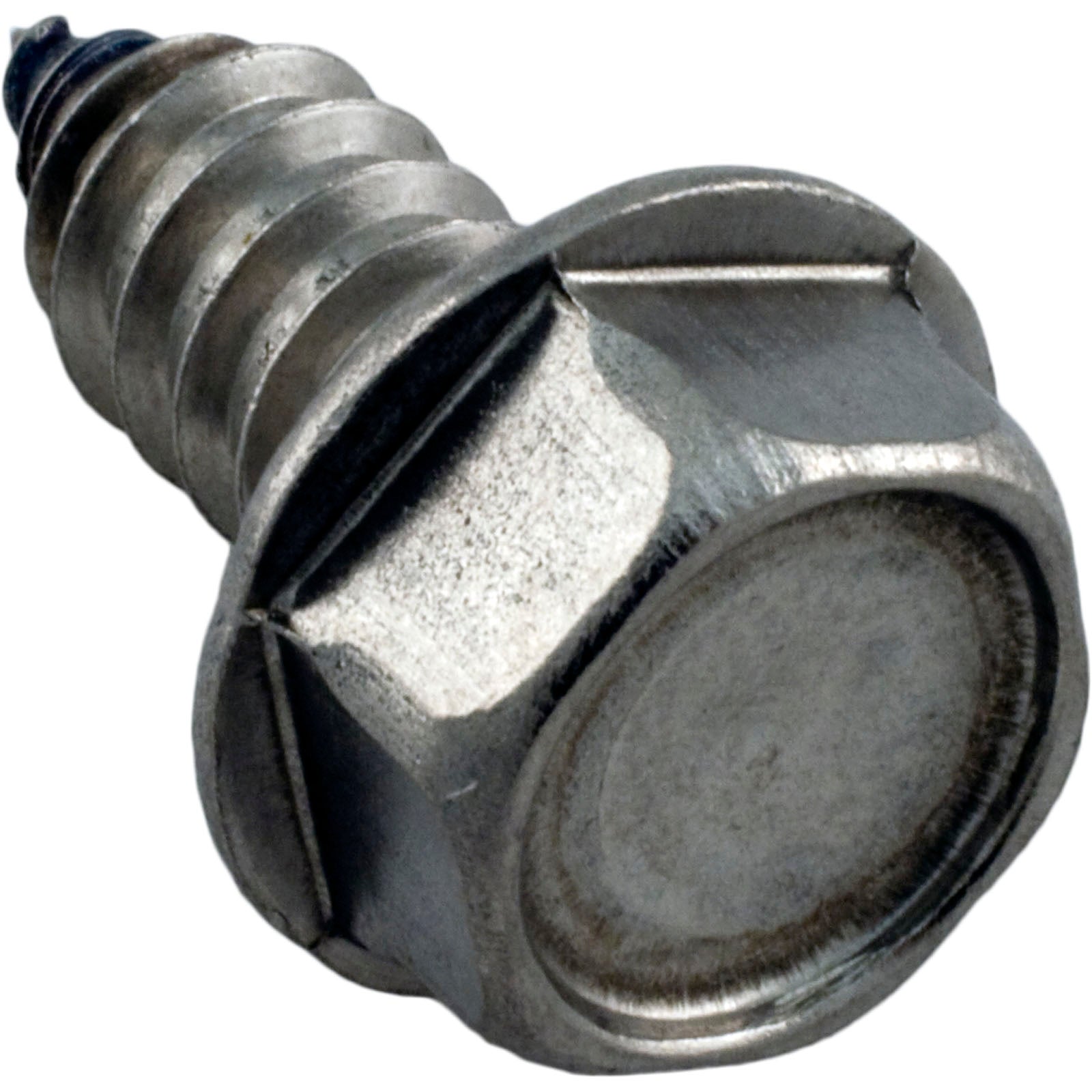 Screw, Pentair Sta-Rite, 5/16-14 x 5/8"/ U30-919SS