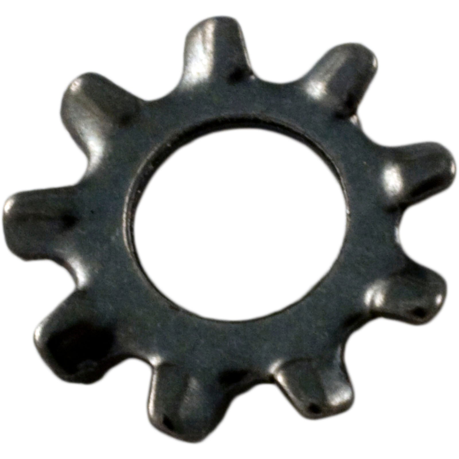 Lock Washer, Pentair Sta-Rite LT, #10/ U43-22SS