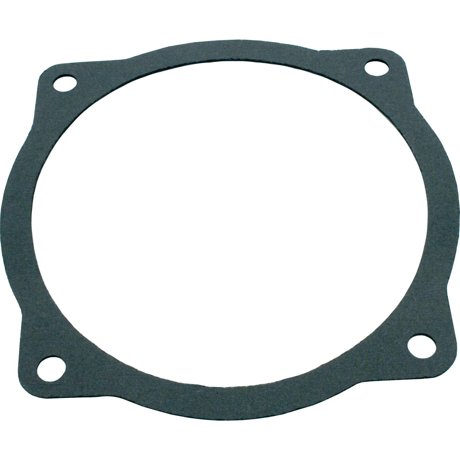 Gasket, Val-Pak AquaFlo A Series, Seal Plate- 91500100