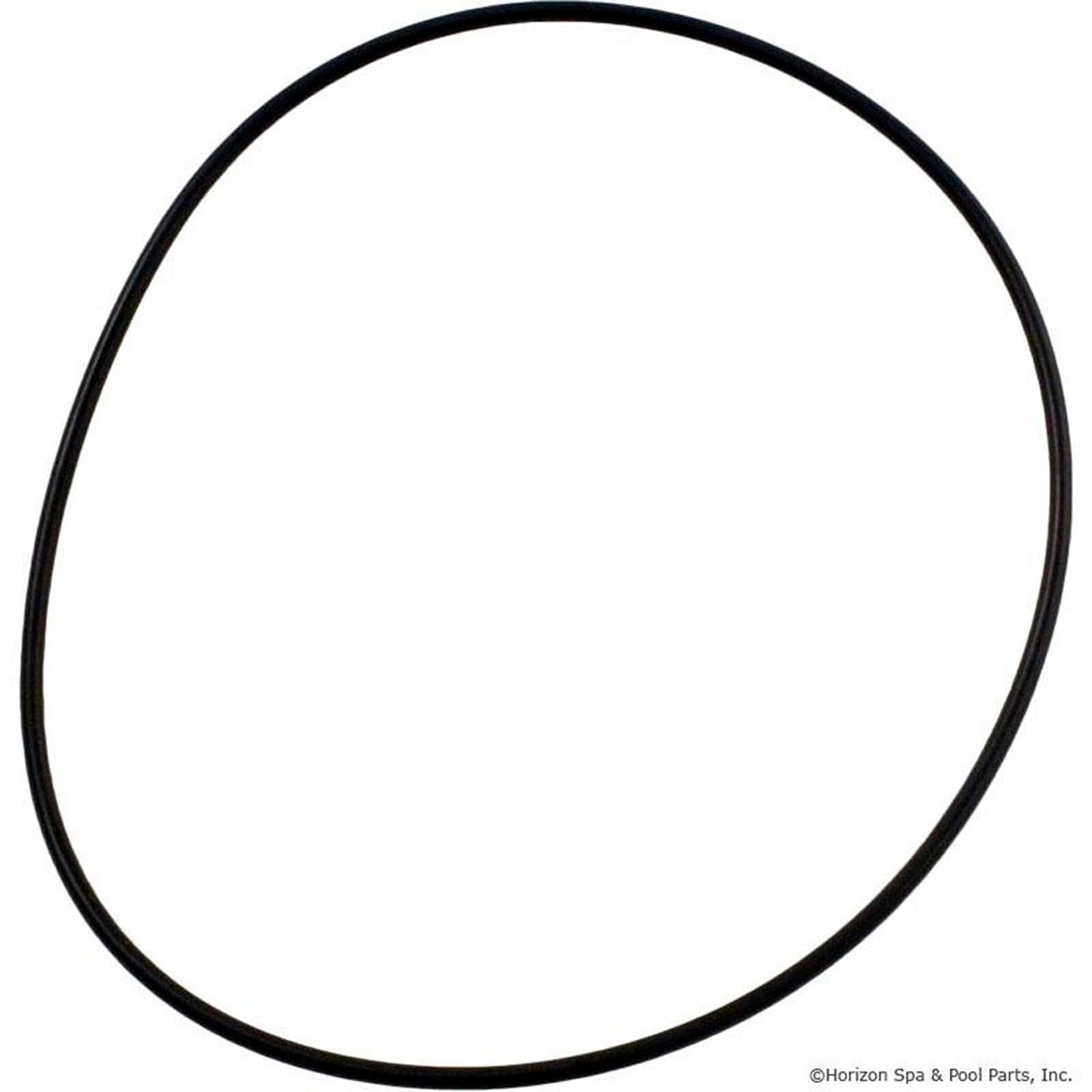 O-Ring, Pentair PacFab Hydro, Volute, O-257- 352626