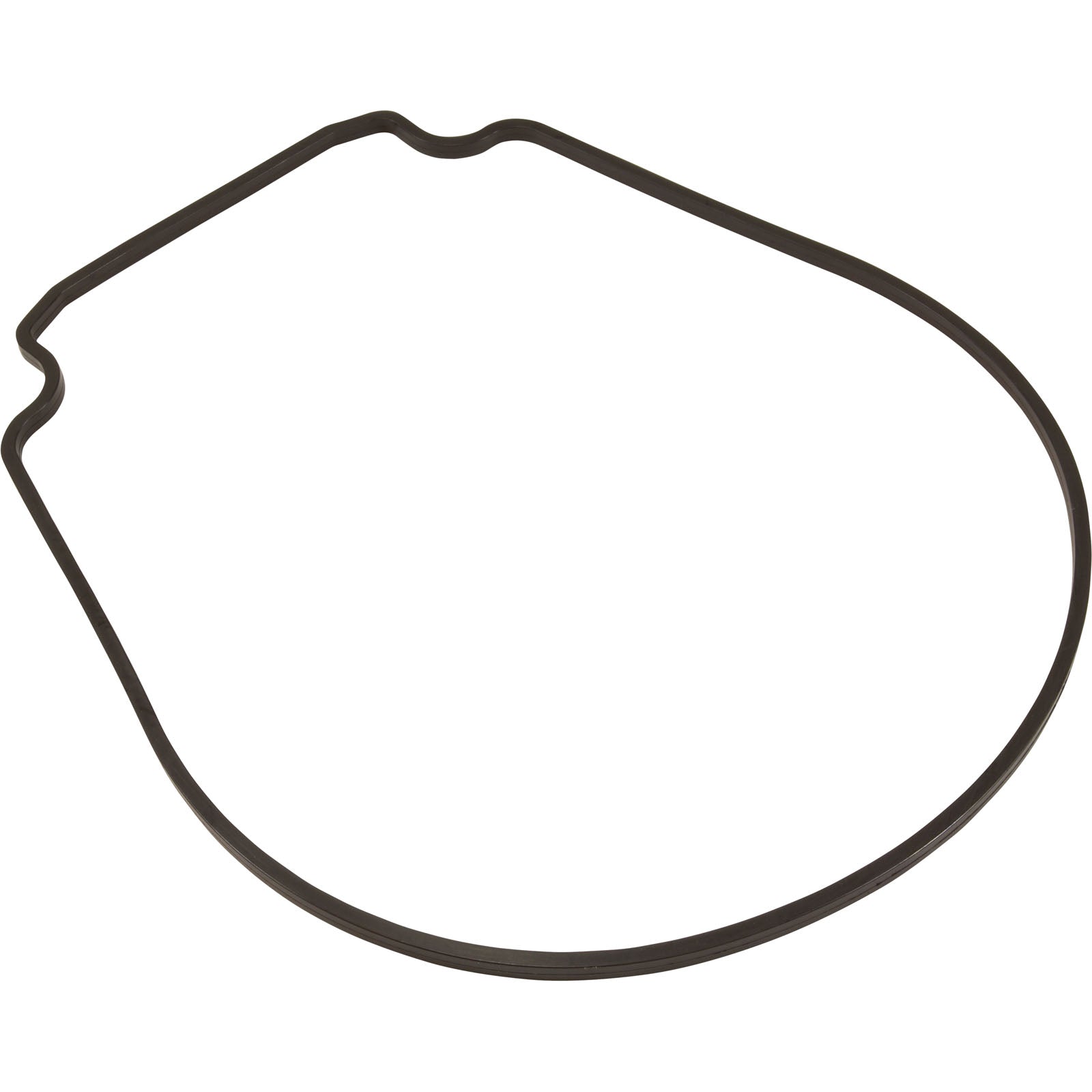 Gasket, Pentair Purex IntelliFlo VS, Seal Plate, Special ID/OD- 357100Z