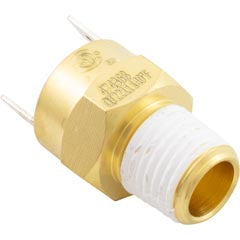 Gas Shutoff Switch, Pentair Max-E-Therm/MasterTemp 42002-0025S