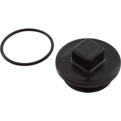 Jacuzzi 2" Plug w/O-Ring 43-3092-02-R