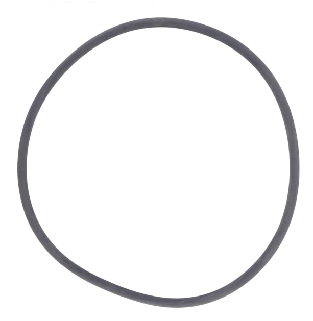 Astral O-Ring Cantabric Filter Lid 4404180201
