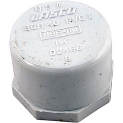 Cap, 1-1/4" Female Pipe Thread 448-012