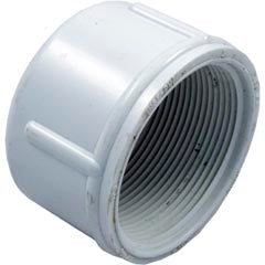 Cap, 2" Female Pipe Thread 448-020