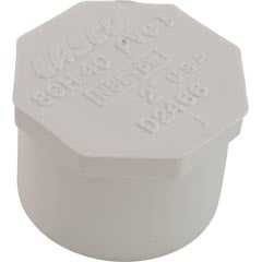 Plug, Lasco, 2" Spigot 449-020