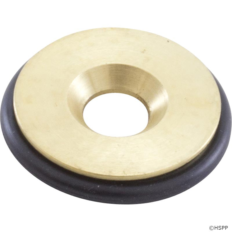 Orifice, Pentair MasterTemp 250, Nat. 460739