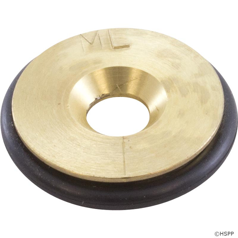 Orifice, Pentair MasterTemp 300, LP 460754