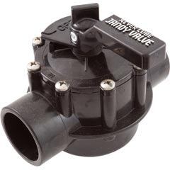 Diverter Valve, Jandy Neverlube, 1-1/2" x 2" Pos Seal, 2 Port 4724