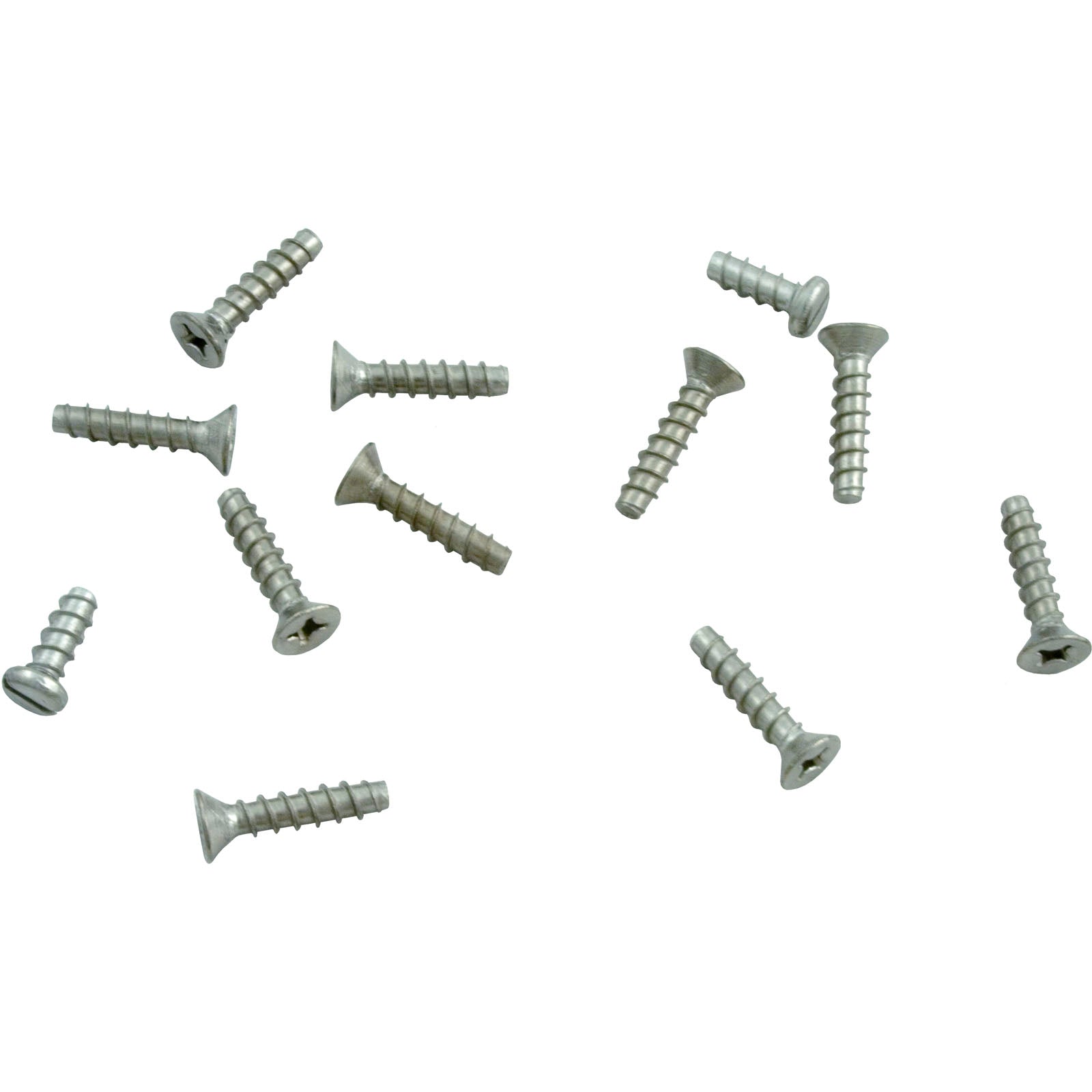 Hayward Faceplate Screw Kit SPX1090Z1A