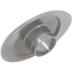 Pentair 521886 Gray iS4 4-Function Spa-Side Remote Control with 100' Cord 5 VDC