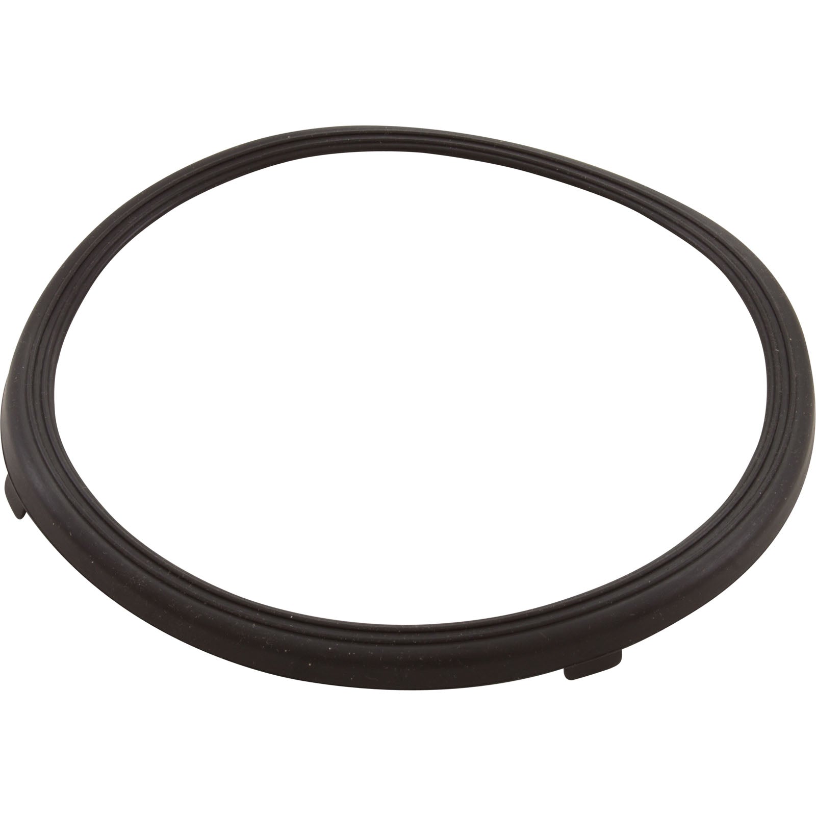 Light Lens Gasket, Pentair 619599Z