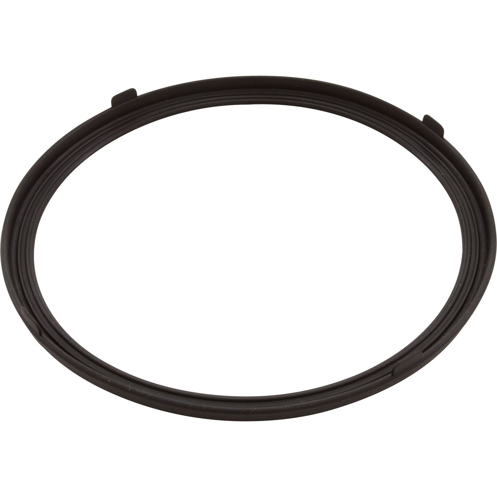 Light Lens Gasket, Pentair 619599Z