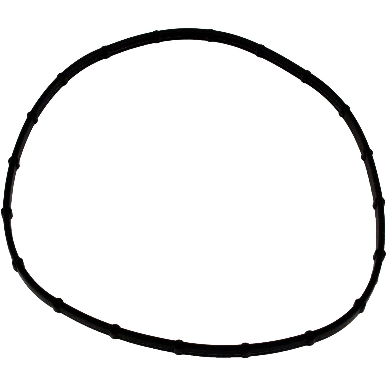 Light Lens Seal, Sta Rite, Post-1999 05101-0002