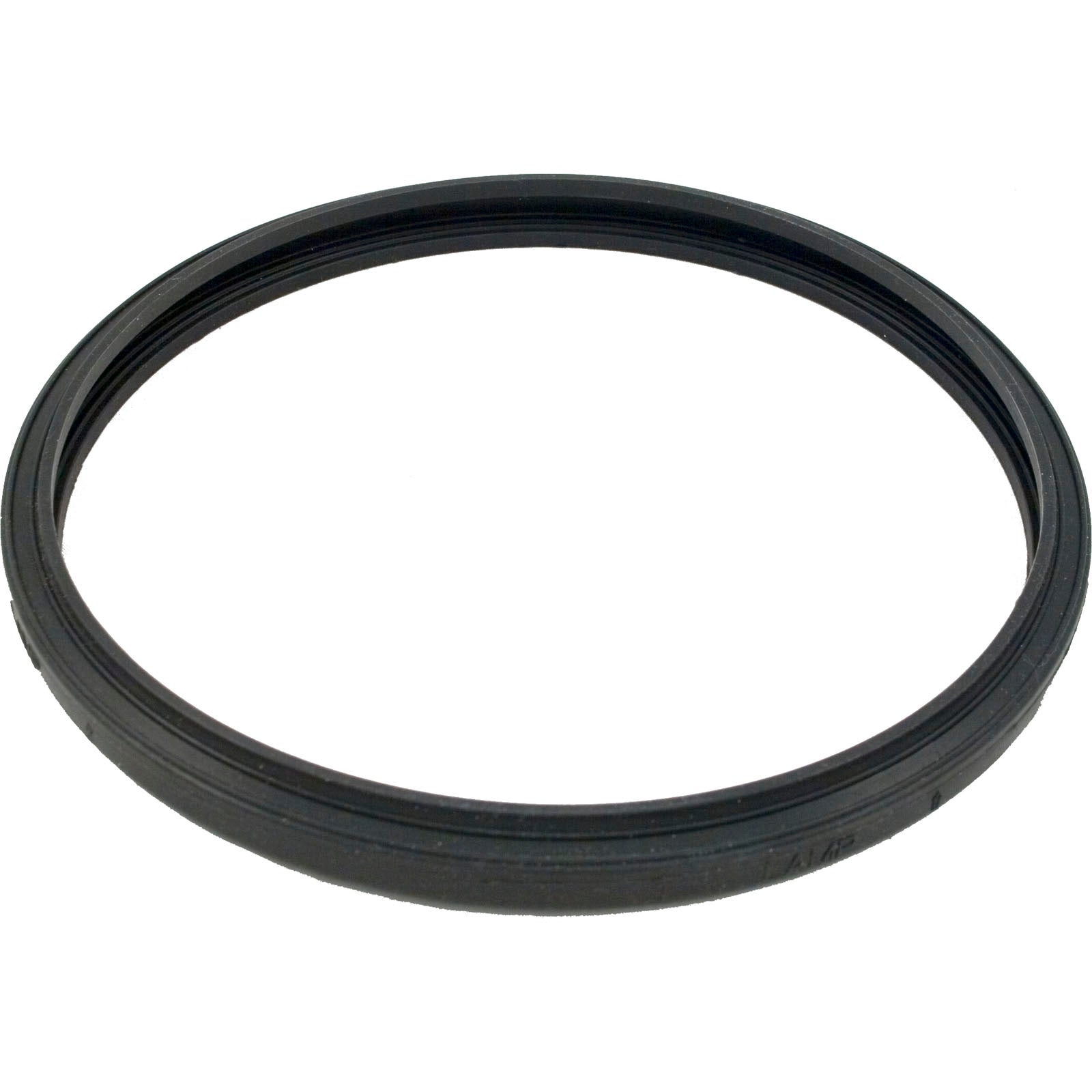 Light Lens Gasket, Sta Rite 05501-0005
