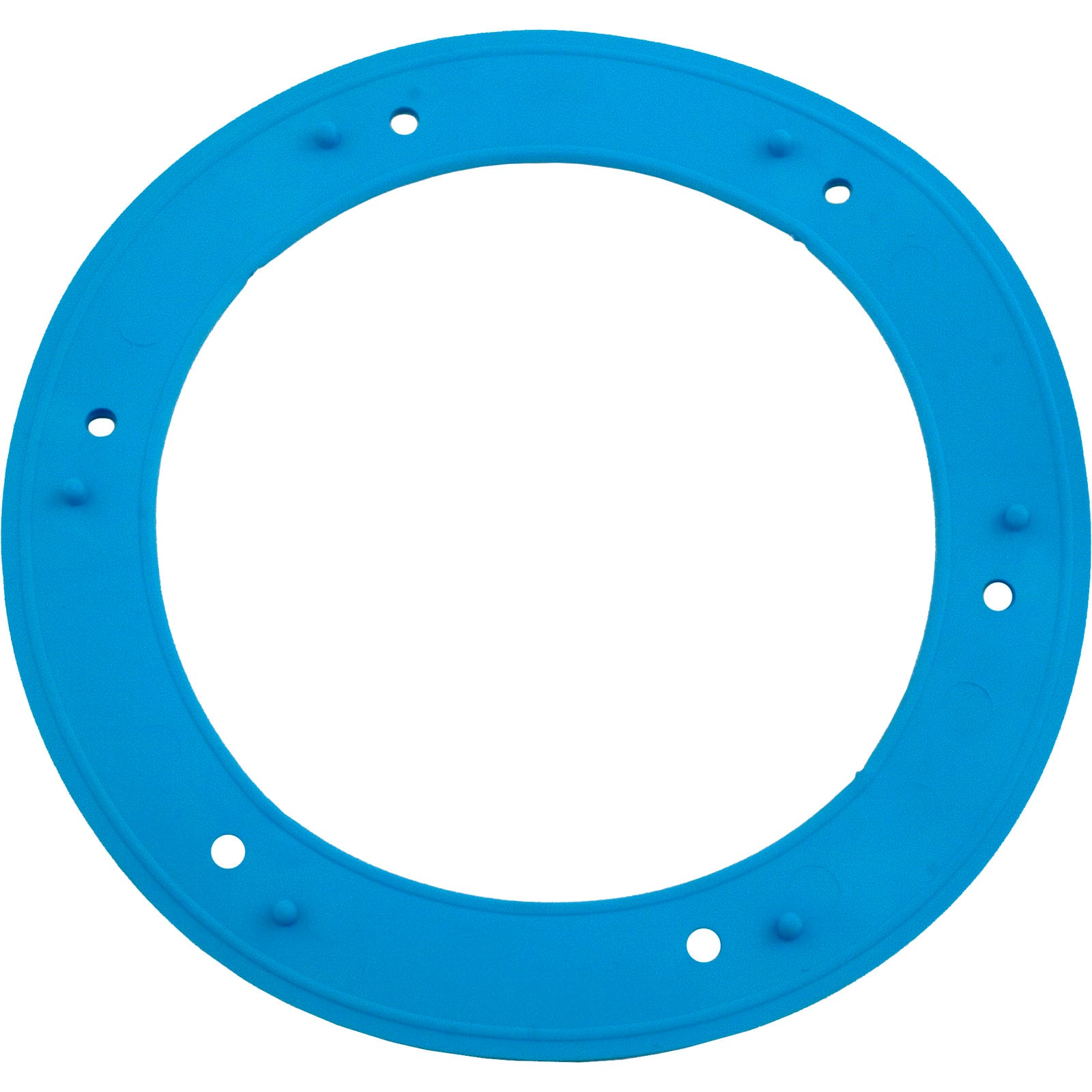 Light Niche Liner Gasket, Sta Rite, Small 05166-0001