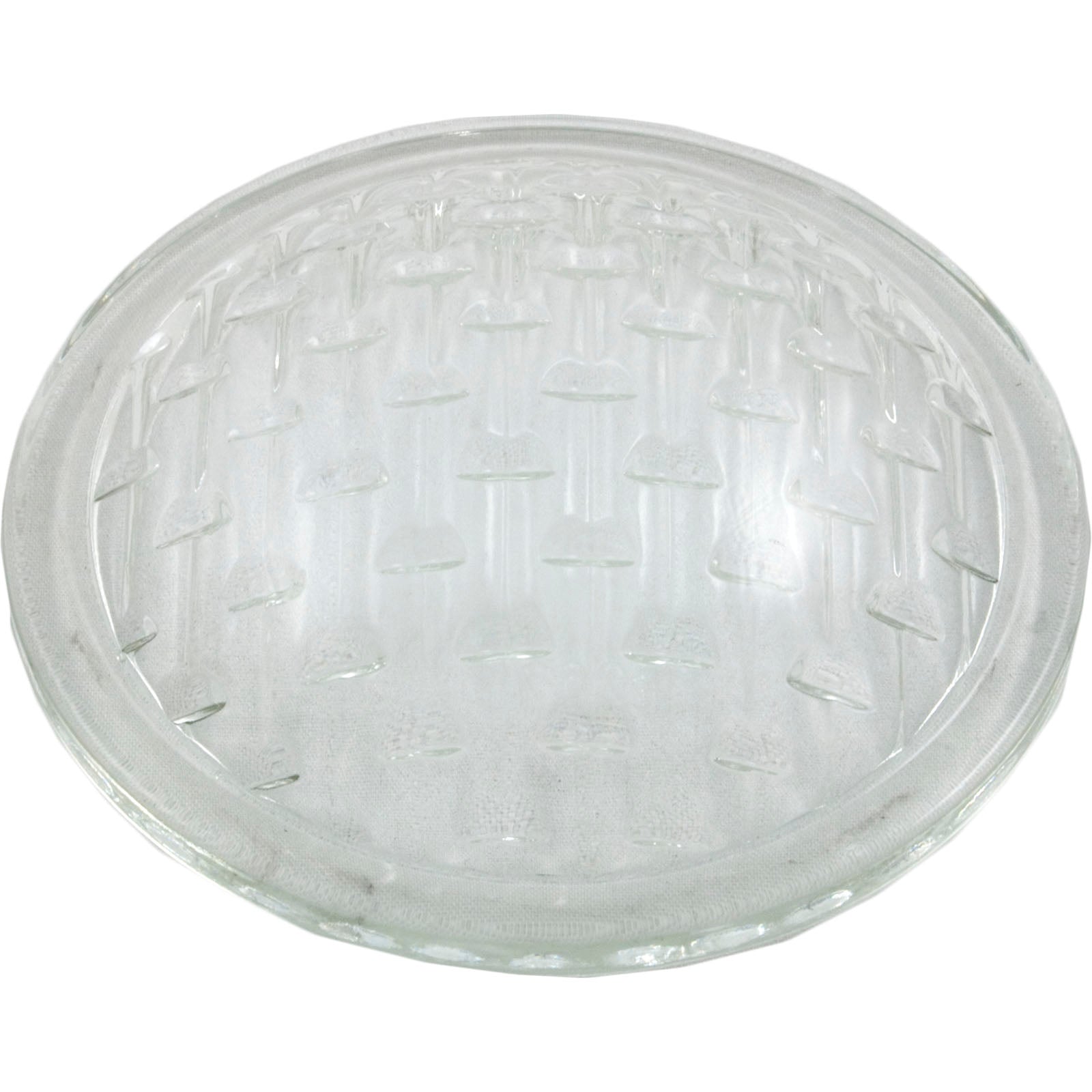 Light Lens, Pentair American Products AquaLight/Spa Brite 79107800