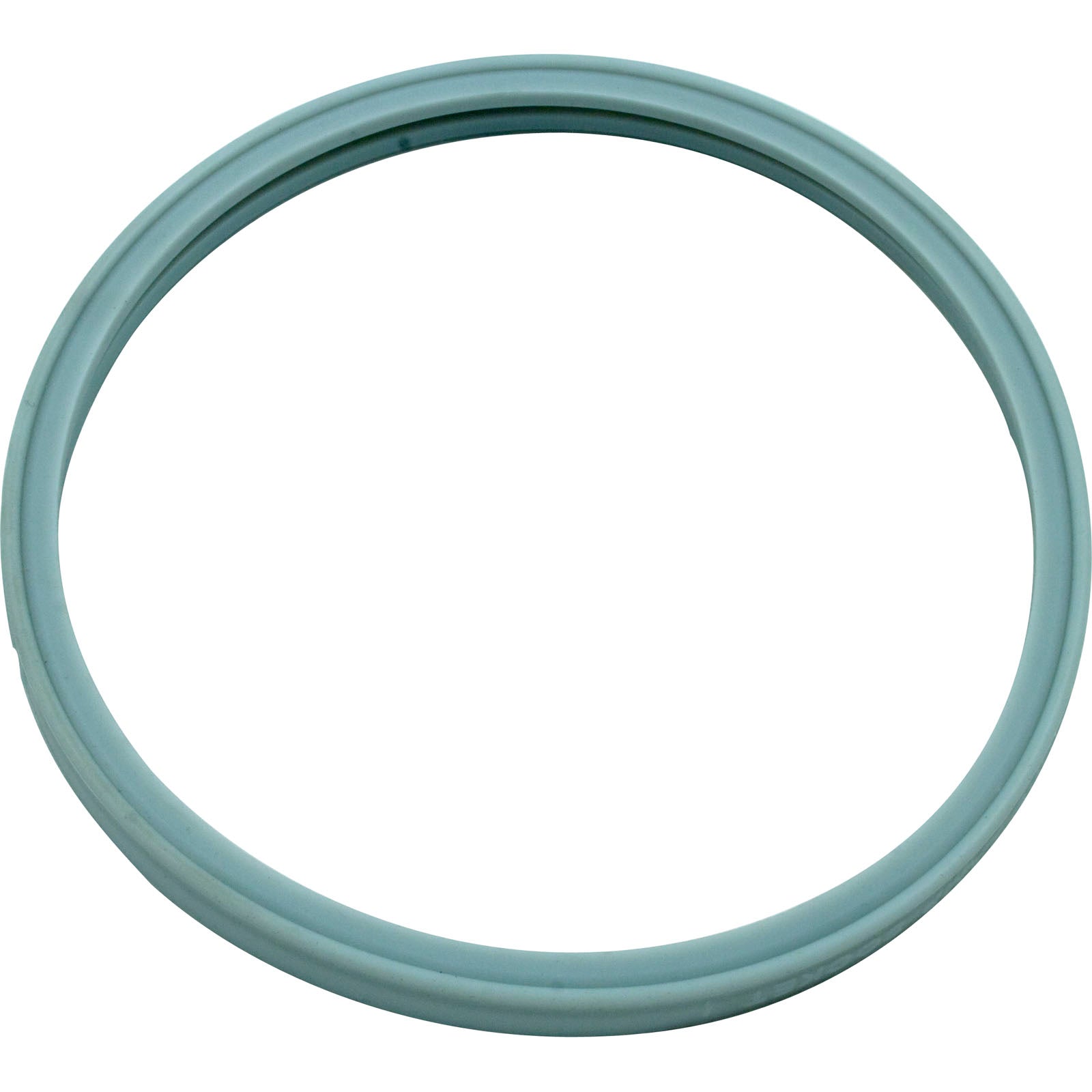 Light Lens Gasket, Pentair 614516