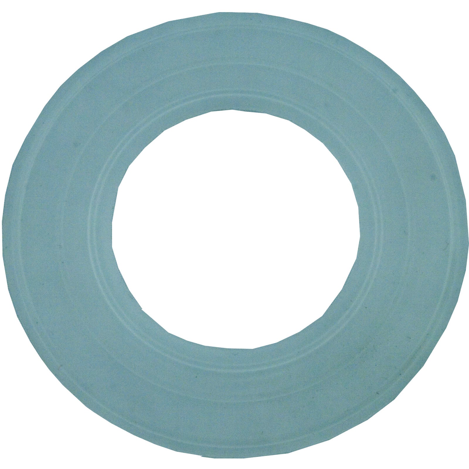 Light Gasket, Pentair, Aqualuminator 79116800