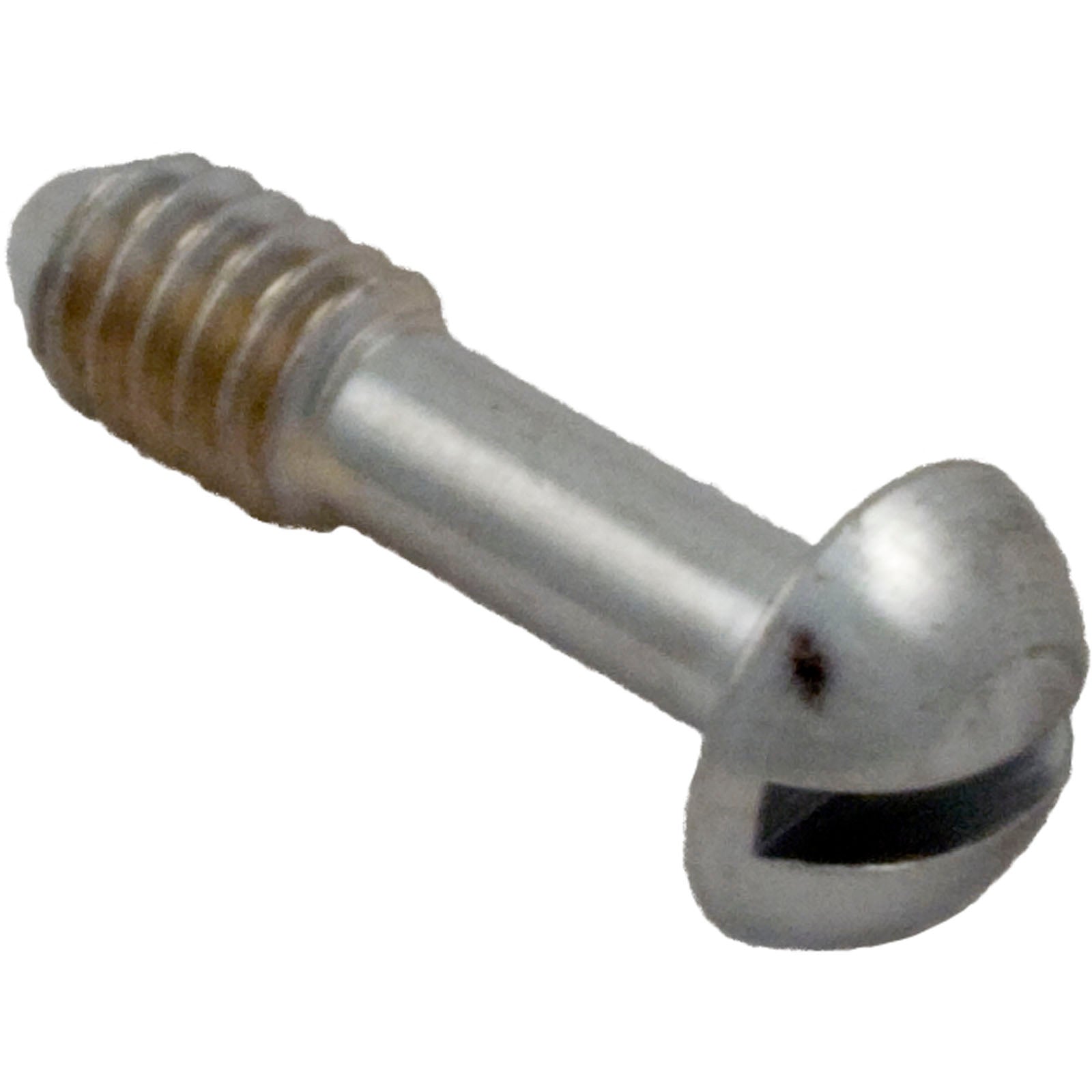 Light Lock Screw, Hayward, Face Plate SPX0503Z20A