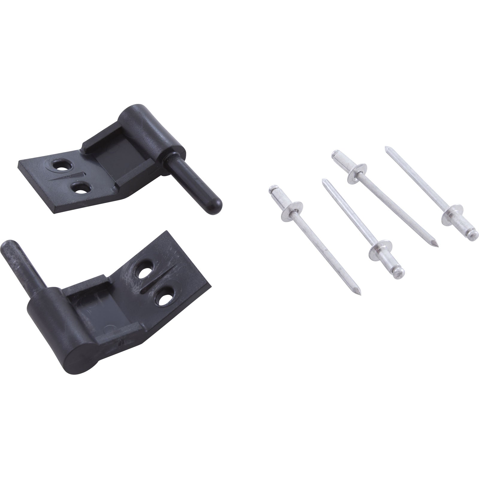Power Center Hinge Pins, Pentair Compool, Quantity of 2 LXPIN