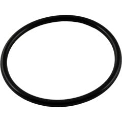O-Ring, Waterway Crystal Water, Bulkhead, O-653 805-0339