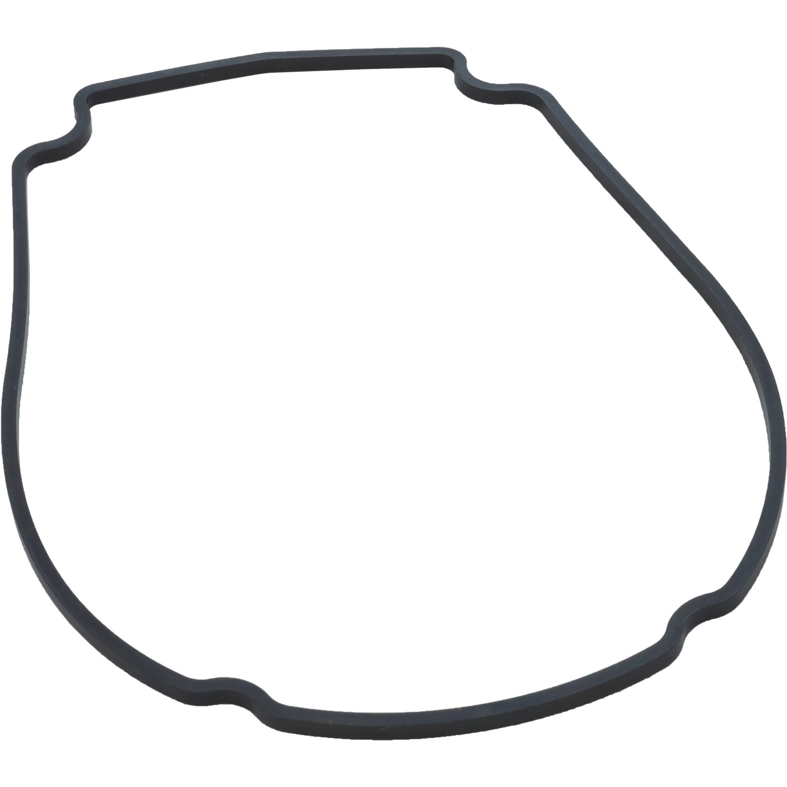 Gasket, Waterway Econo Flo/Champion, Faceplate/ 806-1400