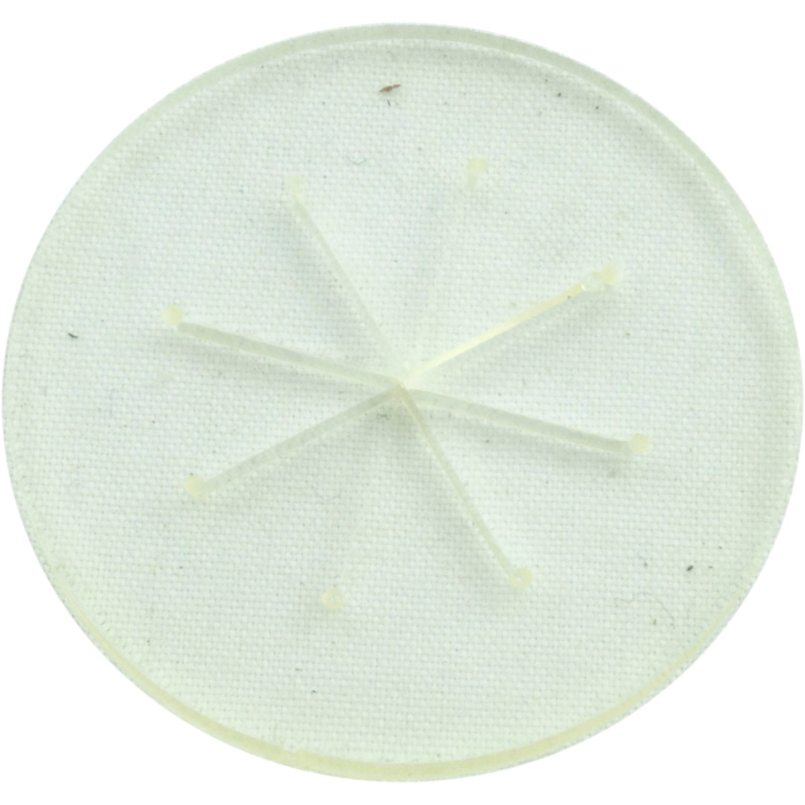 Bypass Disk, Zodiac/Polaris 8-4605