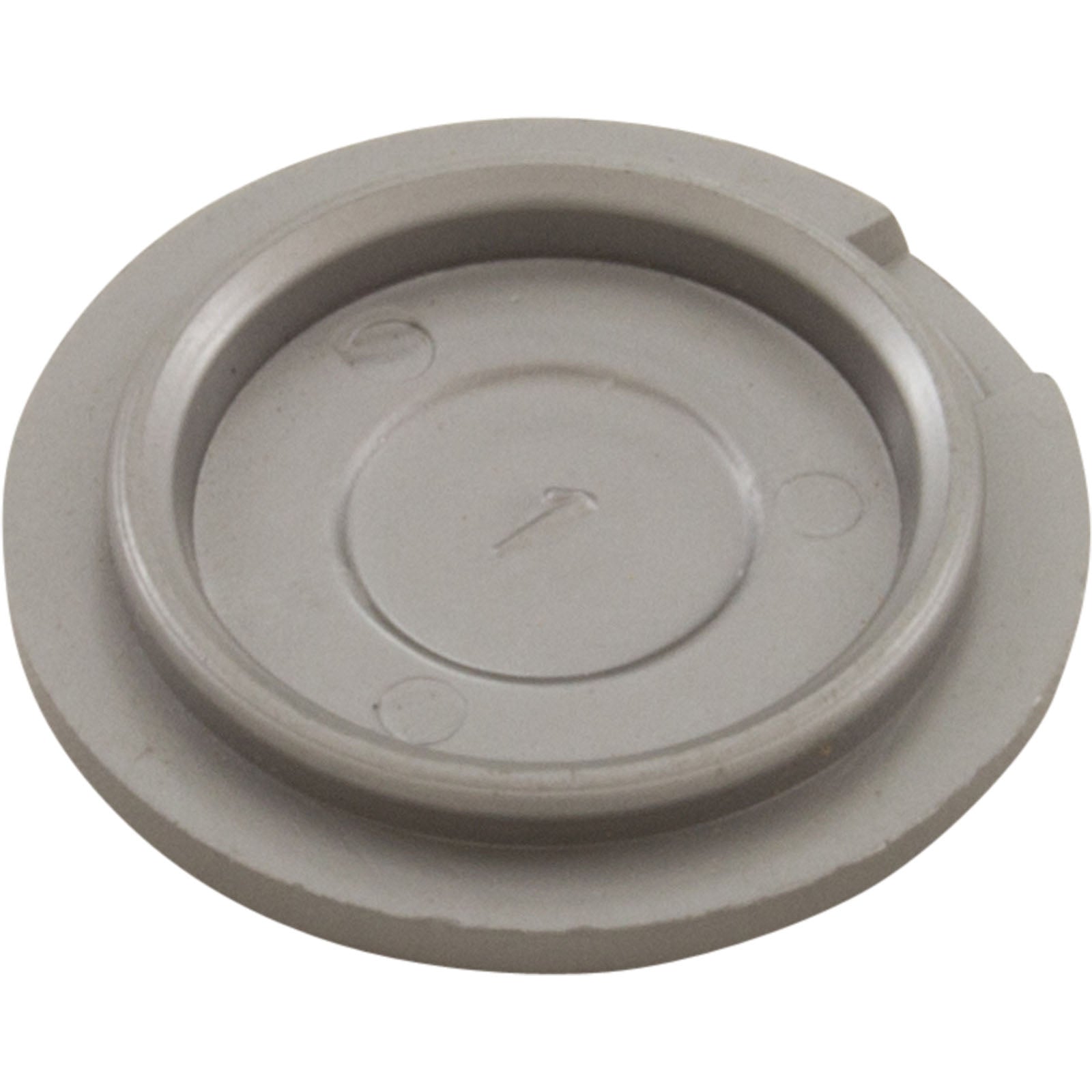 Hub Cap, Silver, Zodiac/Polaris R0615600