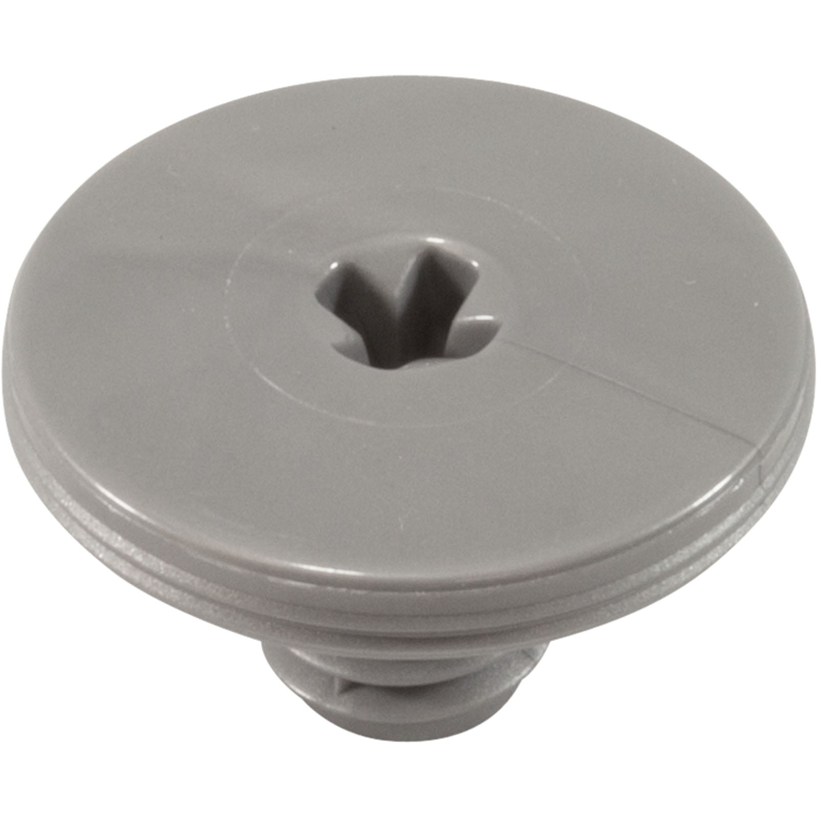 Retainer Screw, Silver, 2 Pk, Zodiac/Polaris R0838800