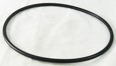 Leaf Canister O-Ring AXW542