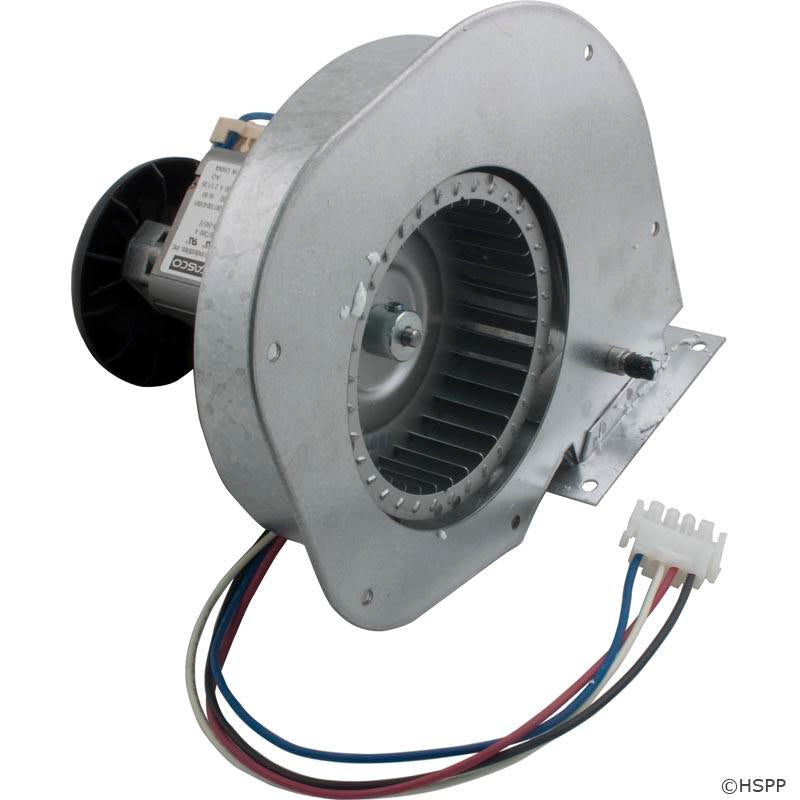 Hayward Combustion Blower Kit For Universal H-Series Heater | FDXLBWR1930