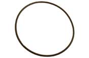 Hayward GMX600F O-Ring Valve/Tank