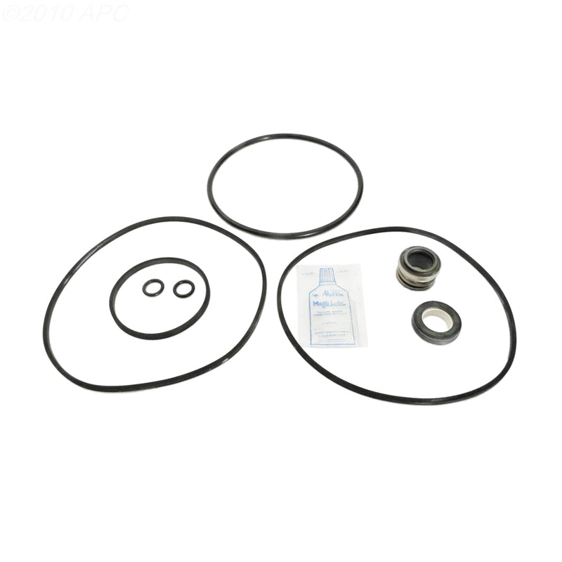 APC R/RC Series Pump Seals & Gaskets GO-KIT15