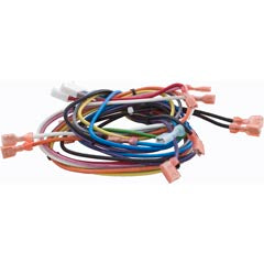Wire Harness, Hayward ED2 HAXWHA0008
