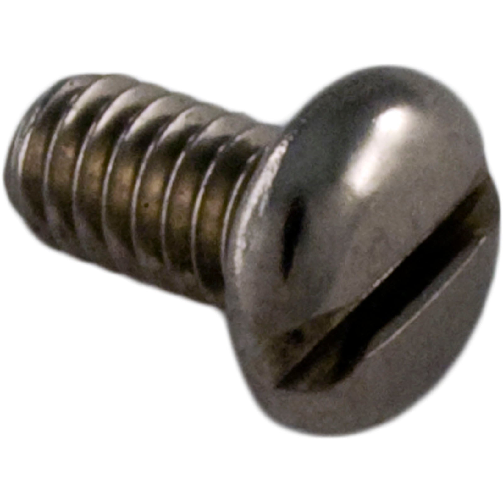 Screw, Pentair L79BL Cleaner, Tile Rinser- LG49