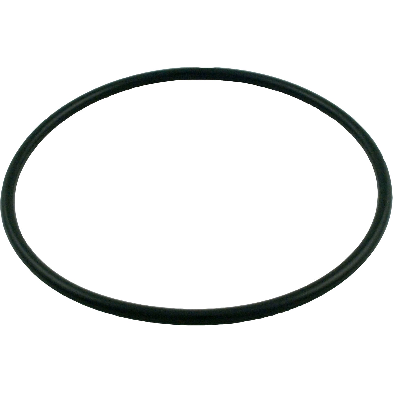 Hayward OEM Viton Cover O ring | CLX200K