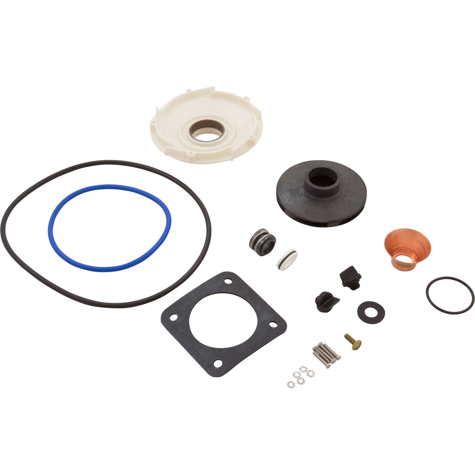 Ovrhl Kit-Pe Pr P2R W/PP1018