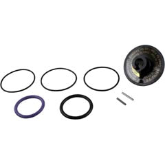 Rebuild Kit, Zodiac Jandy Slide Valve R0442100