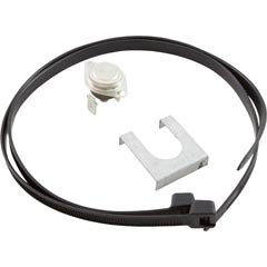 Vent Limit Switch, Zodiac Laars HI-E2 R0309000